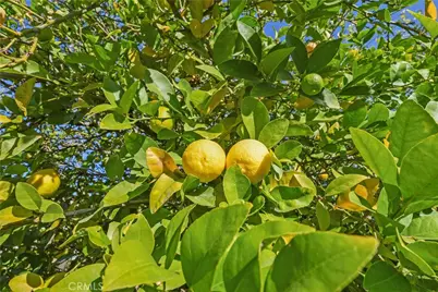 31656 Haute Court, Winchester, CA 92596 - Photo 34