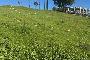 0 Arnold, Lake Elsinore, CA 92530 - Photo 1