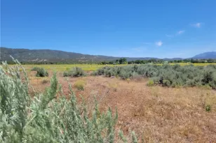 48 Bonita Vista, Anza, CA 92539 - Photo 1