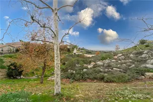 17191 Greentree Dr, Riverside, CA 92503 - Photo 46