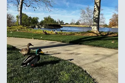 36438 Straightaway, Beaumont, CA 92223 - Photo 46