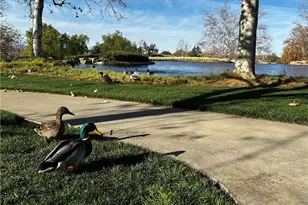 36438 Straightaway, Beaumont, CA 92223 - Photo 46