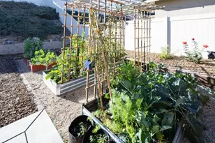 31723 Constellation, Menifee, CA 92586 - Photo 52