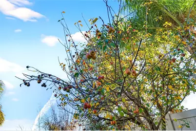 42824 Woody Knoll, Murrieta, CA 92562 - Photo 46