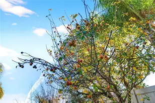 42824 Woody Knoll, Murrieta, CA 92562 - Photo 46