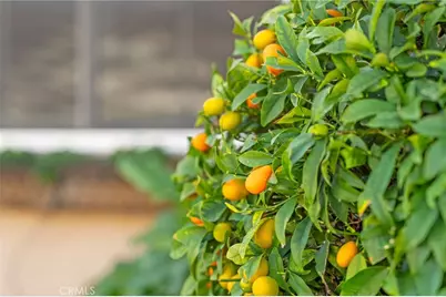 27665 Bottle Brush Wy, Murrieta, CA 92562 - Photo 42