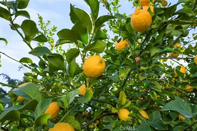 569 Overleaf, San Jacinto, CA 92582 - Photo 52