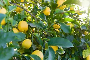 615 Kerilyn Ln, Hemet, CA 92544 - Photo 22