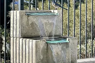 26499 Bladen Ave, Murrieta, CA 92562 - Photo 60