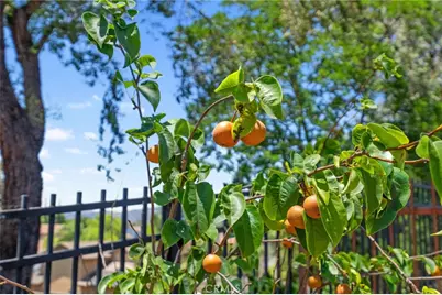 31475 Corte Mallorca, Temecula, CA 92592 - Photo 28