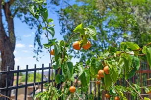 31475 Corte Mallorca, Temecula, CA 92592 - Photo 28