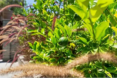 31475 Corte Mallorca, Temecula, CA 92592 - Photo 26