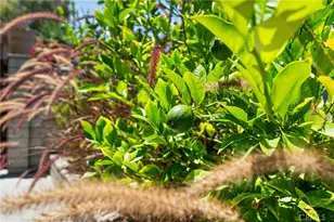 31475 Corte Mallorca, Temecula, CA 92592 - Photo 26