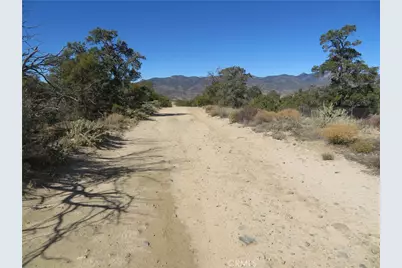 155 Lot #155 Buckthorn, Mountain Center, CA 92561 - Photo 16