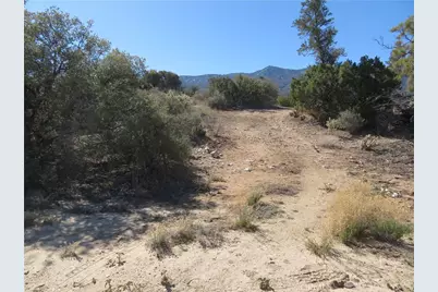 155 Lot #155 Buckthorn, Mountain Center, CA 92561 - Photo 8
