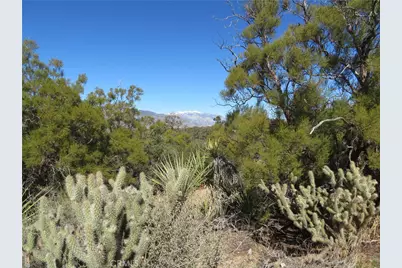 155 Lot #155 Buckthorn, Mountain Center, CA 92561 - Photo 12