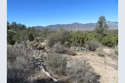 155 Lot #155 Buckthorn, Mountain Center, CA 92561 - Photo 10