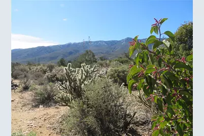 155 Lot #155 Buckthorn, Mountain Center, CA 92561 - Photo 4