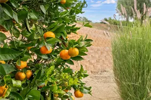 45600 La Cruz Dr, Temecula, CA 92590 - Photo 68