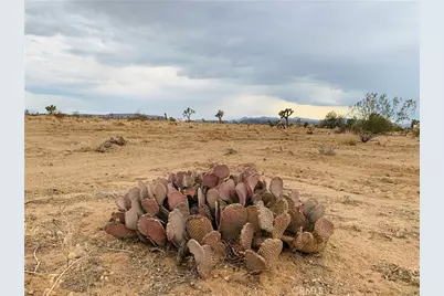 58040 Junipero, Yucca Valley, CA 92284 - Photo 2
