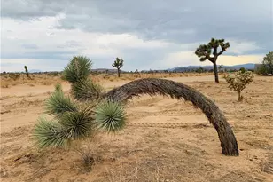 58040 Junipero, Yucca Valley, CA 92284 - Photo 1
