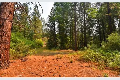 0 Scott River Road, Fort Jones, CA 96032 - Photo 16