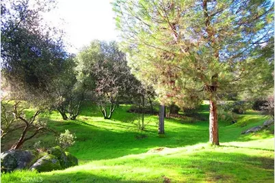 0 Revis Road, Coarsegold, CA 93614 - Photo 10