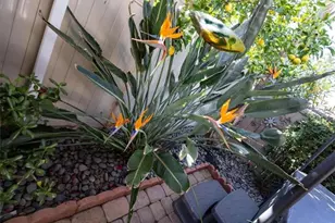 29831 Coral Tree Ct, Menifee, CA 92584 - Photo 40