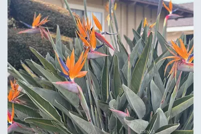 6849 Whitman Drive, Buena Park, CA 90620 - Photo 38