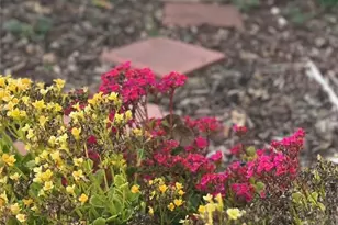 6849 Whitman Dr, Buena Park, CA 90620 - Photo 32