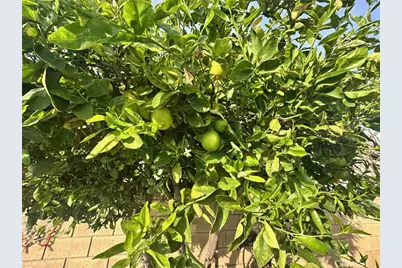 6849 Whitman Drive, Buena Park, CA 90620 - Photo 30