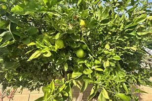 6849 Whitman Dr, Buena Park, CA 90620 - Photo 30