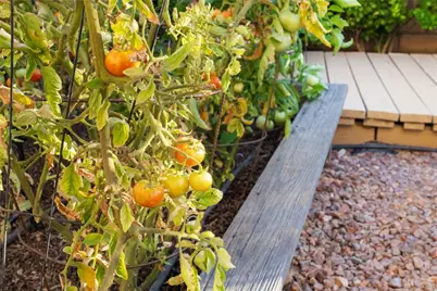 36691 Kennemer Drive, Murrieta, CA 92562 - Photo 54