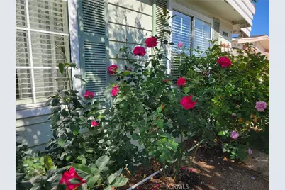 38195 Via Taffia, Murrieta, CA 92563 - Photo 44