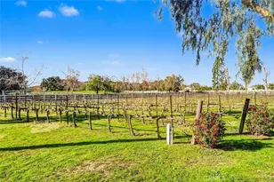 40801 Avenida La Cresta, Murrieta, CA 92562 - Photo 26