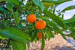 5168 Indian Ct, Oceanside, CA 92057 - Photo 64