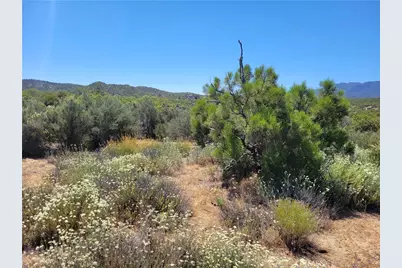 0 Terwilliger, Anza, CA 92539 - Photo 2