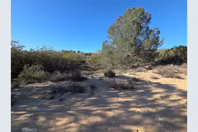 56660 Knollwood, Anza, CA 92539 - Photo 8