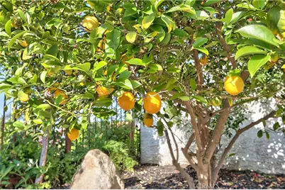 31384 Corte Tunas, Temecula, CA 92592 - Photo 34