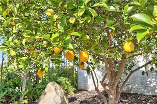 31384 Corte Tunas, Temecula, CA 92592 - Photo 34