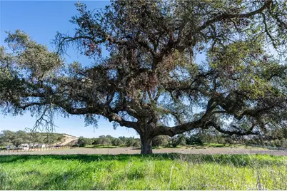 41560 De Anna Ranch, Murrieta, CA 92562 - Photo 18