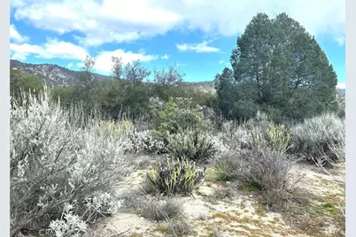 0 Oak Road, Anza, CA 92539 - Photo 18