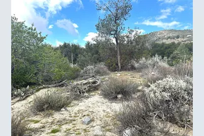 0 Oak Road, Anza, CA 92539 - Photo 22