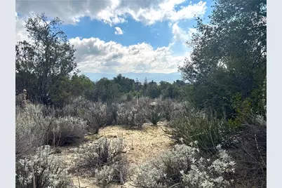 0 Oak Road, Anza, CA 92539 - Photo 6