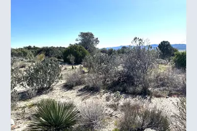 0 Oak Road, Anza, CA 92539 - Photo 14