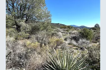 0 Oak Road, Anza, CA 92539 - Photo 4