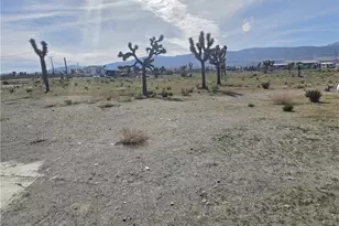 12474 Silver Rock, Pinon Hills, CA 92372 - Photo 34