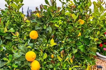 24600 Mountain Avenue #20, Hemet, CA 92544 - Photo 26