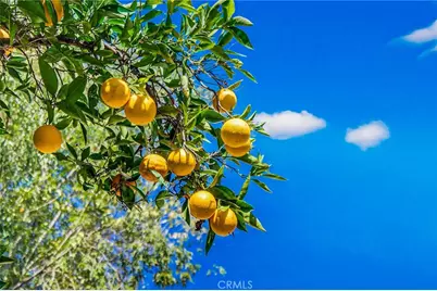 1313 Taft Street, Escondido, CA 92026 - Photo 40