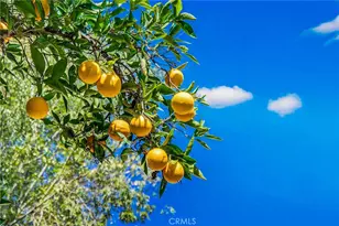 1313 Taft St, Escondido, CA 92026 - Photo 40